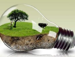 Энергоэффективность часть экологичного образа